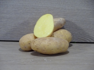 Kartoffeln Erika, festkochend, gewaschen