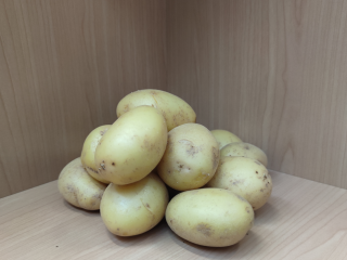 Frühkartoffeln Agata