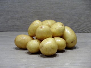 Kartoffeln Agata klein, festkochend