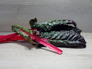 Krautstiel rot