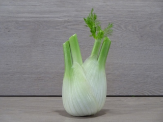 Fenchel
