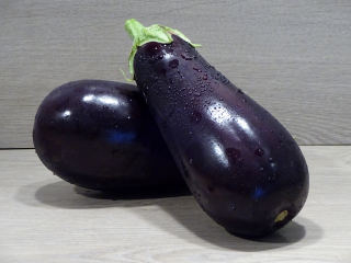 Aubergine