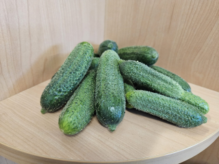 Essiggurken frisch