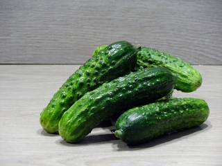 Snackgurken