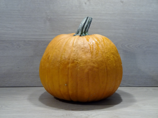 Kürbis Halloween 2,5 - 3 kg