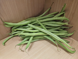 Stangenbohnen grün