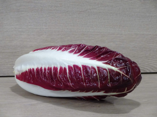 Chicorino Trevisano