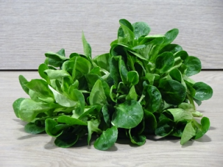 Nüsslisalat