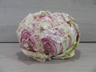 Chicorino Castelfranco